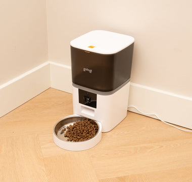 automatische voerbak voor huisdieren op de vloer 